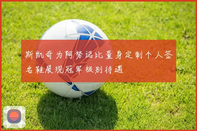 斯凯奇为阿努诺比量身定制个人签名鞋展现冠军级别待遇