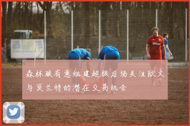 森林狼有意组建超级后场关注欧文与莫兰特的潜在交易机会