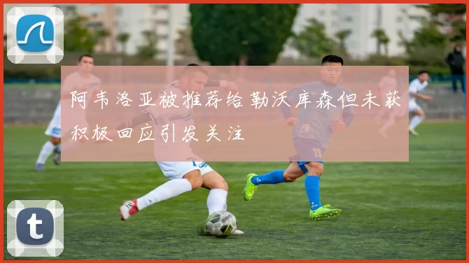 阿韦洛亚被推荐给勒沃库森但未获积极回应引发关注