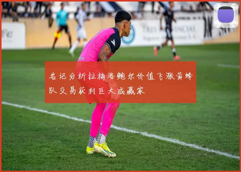 名记分析拉梅洛鲍尔价值飞涨黄蜂队交易获利巨大成赢家